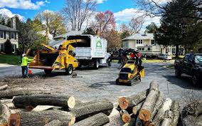 Best Leaf Removal  in Bethel, NC